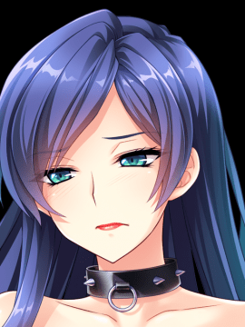 デカ乳ムチ尻BBA騎士団 ～歴戦の女騎士も巨根には勝てない！爆乳爆尻牝にエロ酷いことし放題の絶対忠誠ハーレム♪～_0583_st_birgit_b007d