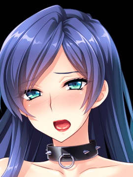 デカ乳ムチ尻BBA騎士団 ～歴戦の女騎士も巨根には勝てない！爆乳爆尻牝にエロ酷いことし放題の絶対忠誠ハーレム♪～_0591_st_birgit_b008e