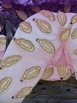 異種海感交尾-海と洞窟と海洋生物- [無修正]_1689_24_48