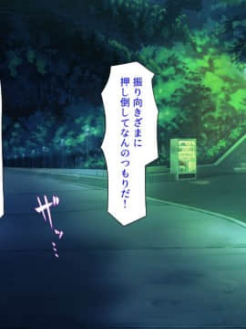 (同人CG集) [汁っけの多い柘榴 (よろず)] チート魔法を使いオレ様チンポでハーレムを_347_345