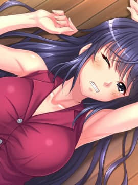 [エロイット] いけない子作り4 ～生意気な姉貴が実は俺のザーメンが大好きだった！？～_0056_cg06_02+cg06_a