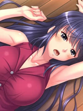 [エロイット] いけない子作り4 ～生意気な姉貴が実は俺のザーメンが大好きだった！？～_0057_cg06_02+cg06_b